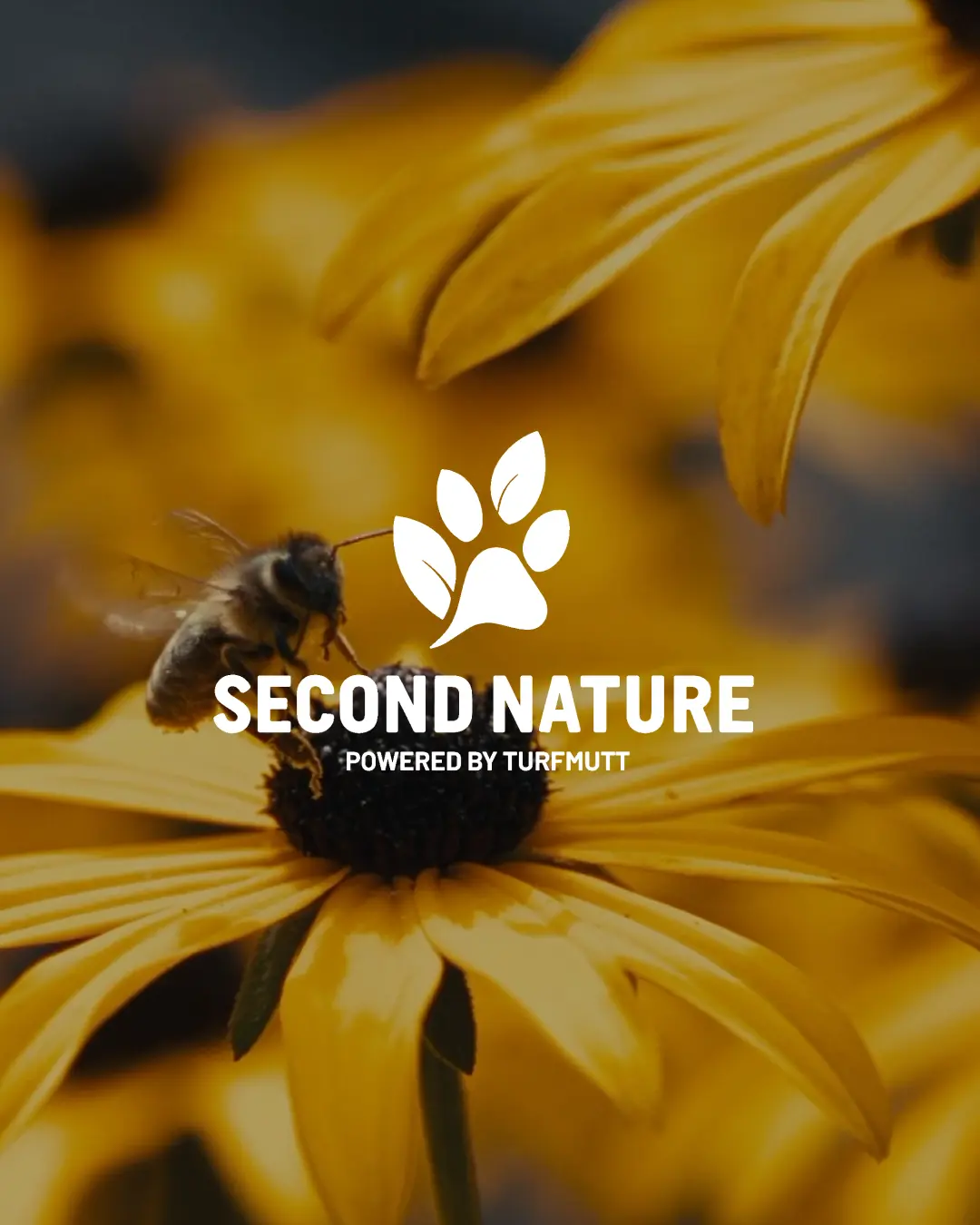 Planting for Pollinators