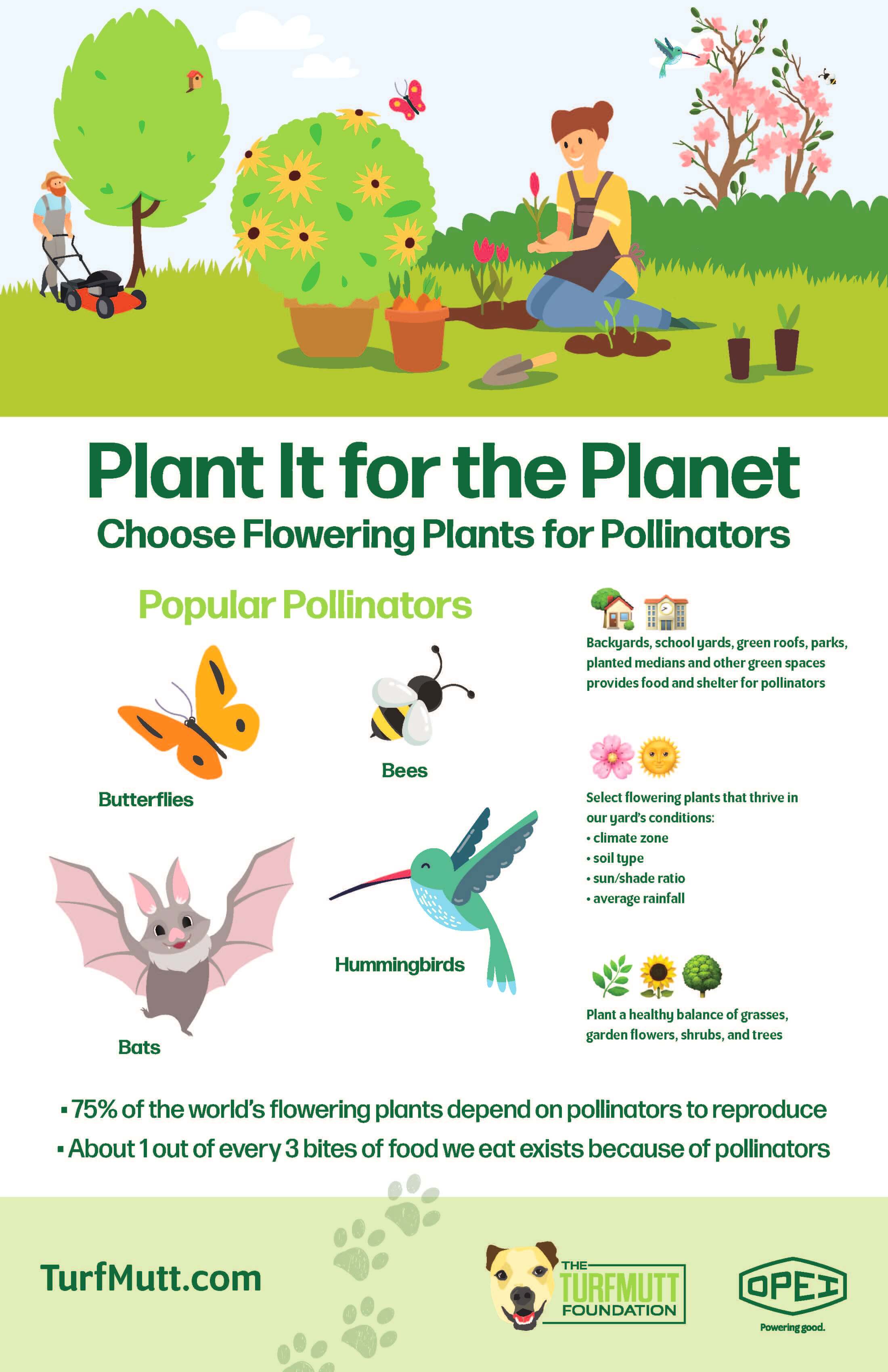 Plant It for the Planet: Choose Flowering Plants for Pollinators
